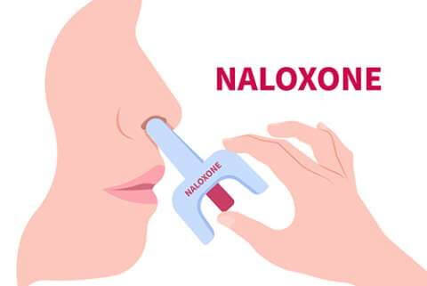 What is Naloxone? An Overview of a Life-Saving Overdose Reversal Drug