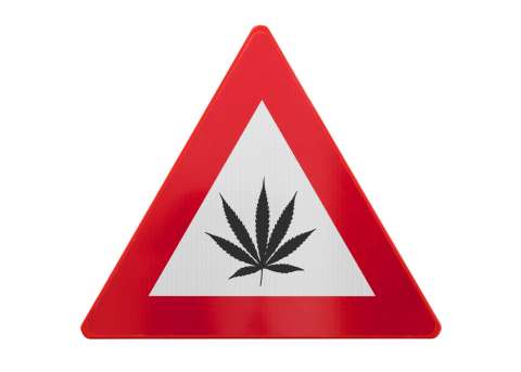 Cannabis Potency & Safety Concerns